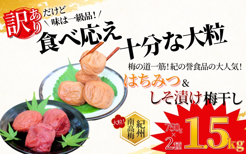 ご家庭用 紀州南高梅 大粒 食べ比べセット 1.5kg(はちみつ750g・しそ漬750g) 塩分約8% 無選別 訳あり /梅 梅干 梅干し うめ ウメ ハチミツ シソ 小分け すさみ町 