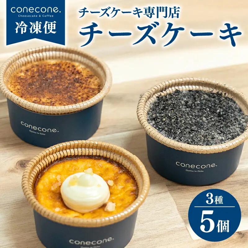 チーズケーキ 3種 5個 セット 手作り ケーキ 熟成塩 バスクチーズケーキ ホワイトチョコ シナモン 酒粕 黒ごま 和チーズケーキ 10000円
