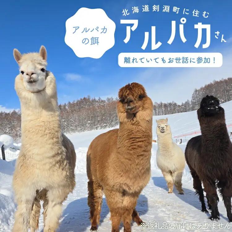 アルパカのエサ