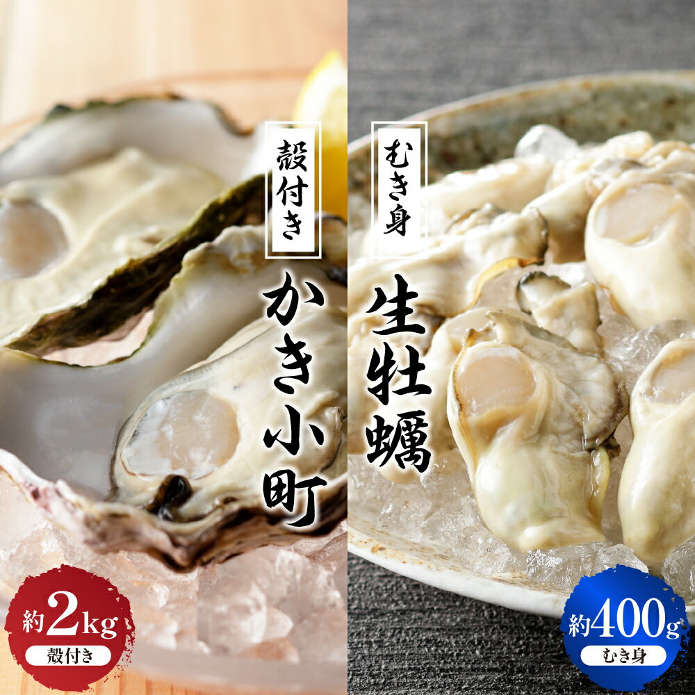 【ふるさと納税】 先行予約 【 2025年 12月 より発送】丸十水産 生牡蠣 特選 むき身 400g 殻付き かき小町 約2kg (10〜14個) セット 冷蔵便 国産 生食 音戸産 牡蠣 かき カキ 旨味 濃厚 新鮮 美味しい 先行受付 冬 旬 お取り寄せ 送料無料 産地直送 広島県 呉市