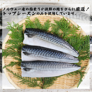適塩さば 純米酒仕込み 10枚 さば さば さば さば さば エドノフーズ