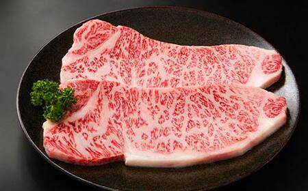 飛騨牛 ロース 400g ステーキカット （200g×2） 牛肉 黒毛和牛 5等級 肉 赤身 赤身肉 バーベキュー BBQ 焼き肉 牛 ビーフ 食品 岐阜県 坂祝町 F6M-055