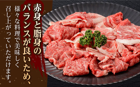 【定期便】牛肉切り落とし 計500g NAC163 牛肉 全6回