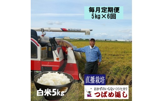【令和8年産/毎月定期便】酒かす & 直播栽培 おかずのいらないコシヒカリ「つばめ返し」白米5kg 6か月定期便 FC072001【 コシヒカリ こしひかり 米 お米 新潟県 燕市 燕三条 】