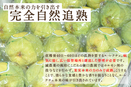 【2024年先行予約】【家庭用】西洋梨 ル・レクチェ 4kg（9～12玉） 《11月下旬から順次発送》 果物 梨 洋梨 西洋梨 フルーツ 訳あり 冬の味覚 デザート 産地直送 加茂市 樋口農園 梨 梨
