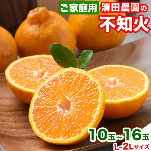 【ふるさと納税】期間限定 清田農園のご家庭用不知火10玉-16玉(M-2Lサイズ) あのデコポンと同品種 熊本県玉名郡玉東町《3月上旬-3月末頃出荷》