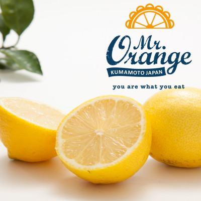 ふるさと納税 水俣市 環境マイスターと七面鳥が育てた「レモン」約2kg