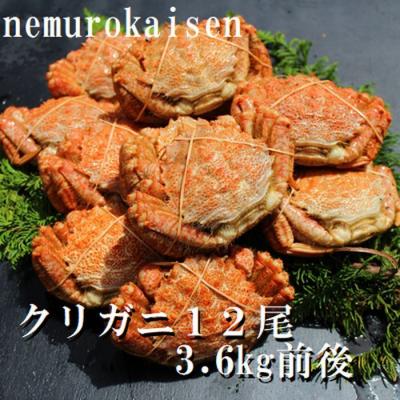 ふるさと納税 根室市 【北海道根室産】クリガニ12尾(計3.6kg前後) D-57030