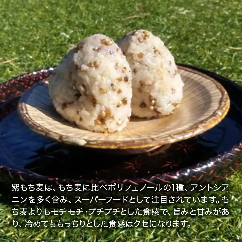 山々と源流の山国町「nakano麦園」の希少な『紫もち麦』ダイシモチ300g×5袋 |  紫もち麦 もち麦 麦 ダイシモチ 紫麦 雑穀 穀物 希少 国産 麦ご飯 1500g 1500グラム 1.5kg