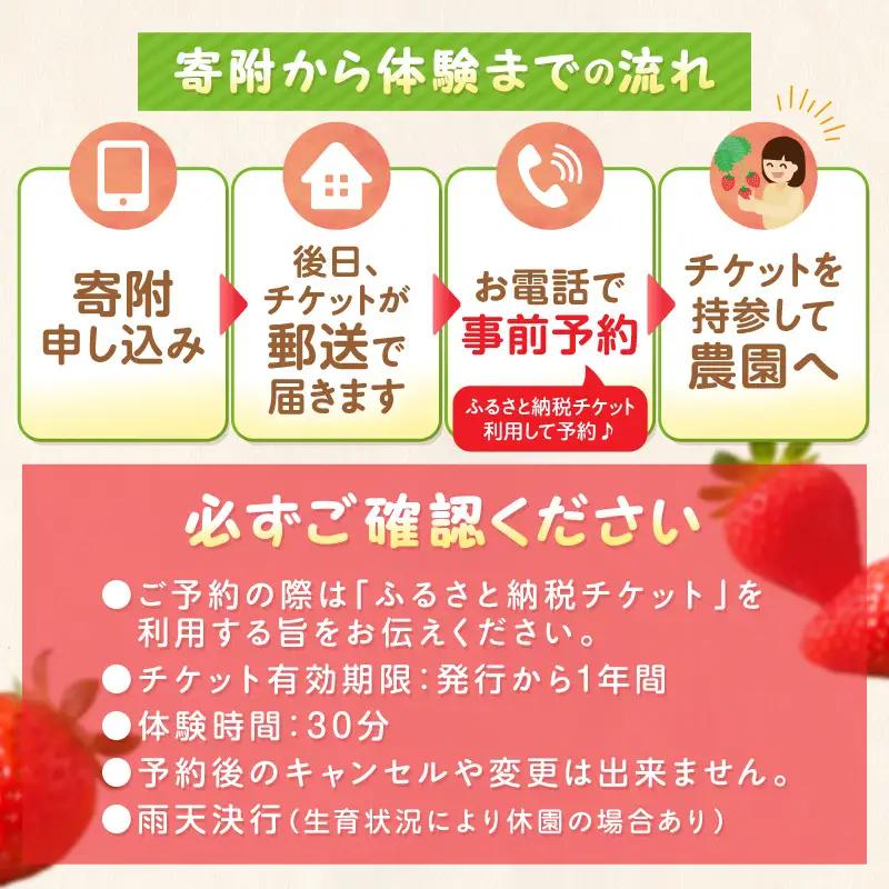 いちご狩り体験ペアチケット（大人1名・小人1名）【ふるさと納税3.0】【117D-004】