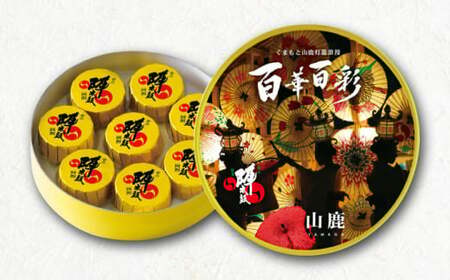 ご当地陣太鼓百華百彩8個入×2箱【株式会社 お菓子の香梅】[ZCK001]