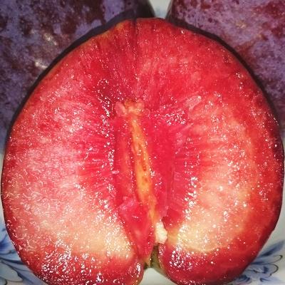 ふるさと納税 三戸町 プラム『紅香のしずく』500g×8パック |  | 01