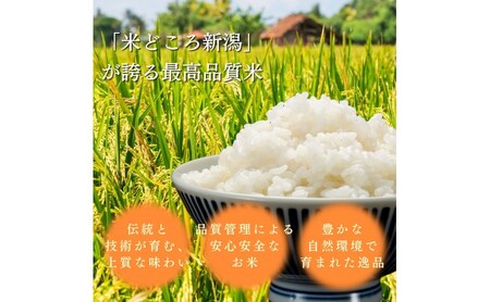 【令和8年12月配送】令和8年産 新潟県上越市産 コシヒカリ 5kg 新米 先行予約 こしひかり 大潟ナショナルカントリー