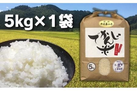 丹波篠山の地醤油漬、佃煮セット　でかんしょ米5kgと実山椒・山蕗 AD25