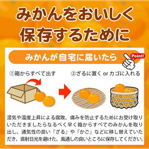  【2026年先行予約】（大玉） 和歌山県産 有田みかん 10kg ひとつひとつ手選別で厳選！生産者から直送_ZN6004n