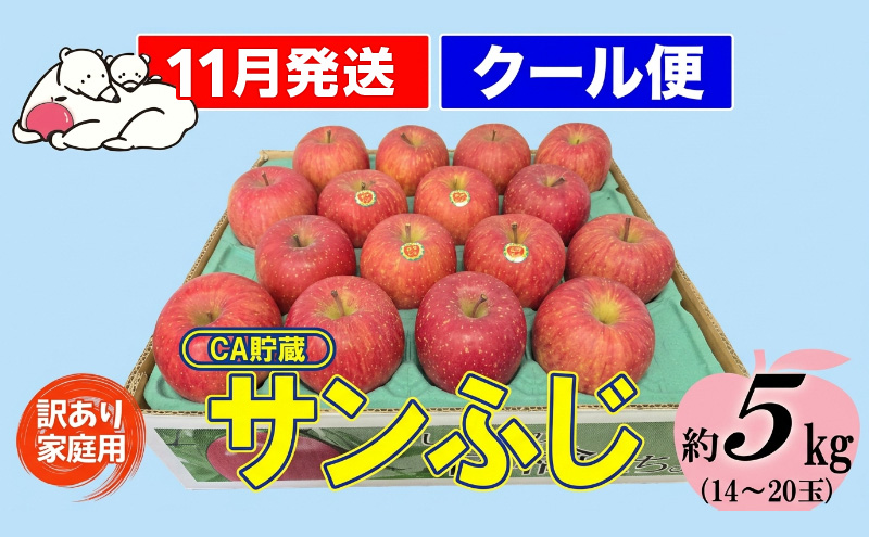 【11月発送】白熊 訳あり家庭用 サンふじ 約5kg 糖度13度 【青森りんご 果物 フルーツ 食後 デザート シャキシャキ ジューシー りんごの王様 】