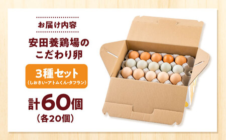 安田養鶏場の卵 3種セット しおさい アトムくん タフラン 60個入り（各20個入り） 横須賀市 産地直送 たまご 黄身 濃厚 卵 玉子 タマゴ 鶏卵  【安田養鶏場】[AKHN007]