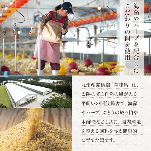 博多華味鳥　水たきセット　ちゃんぽん麺付き(3～4人前)　AV002