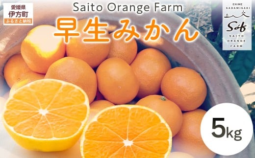 【先行予約】Saito Orange Farmの早生(わせ)みかん5kg（2026年11月以降順次発送） 【 ふるさと納税 人気 おすすめ ランキング みかん ミカン 蜜柑 柑橘 早生みかん 早生ミカン フルーツ 果物 産地直送 西宇和 Saito Orange Farm 愛媛県産 愛媛県 伊方町 送料無料 】 IKTAQ020