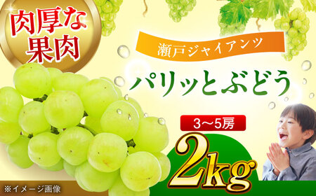 【先行予約】【9月上旬より順次発送】パリッとした食感。ジュワッと溢れる幸せ。瀬戸ジャイアンツ2kg（3から5房） 愛媛県大洲市/沢井青果有限会社 [AGBN005]ぶどうフルーツぶどうフルーツぶどうフルーツ