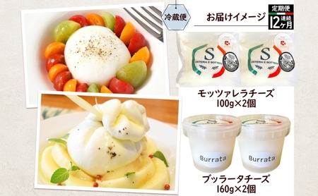 チーズ 12ヶ月 定期便 詰め合わせ 各2個 フレッシュ チーズ