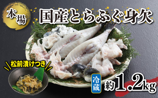 国産 とらふぐ 身欠 セット 約1.1～1.3kg ふぐ松前漬け 付き 冷蔵 下関 山口 ふぐ特集 秋 冬 【1月以降発送 】