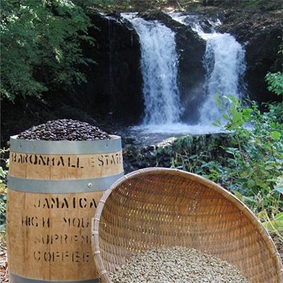 ふるさと納税 富士吉田市 【訳あり】 コーヒー 豆200g×2袋計400g自家焙煎珈琲 スペシャルティコーヒー 富士山の湧き水 |  | 01