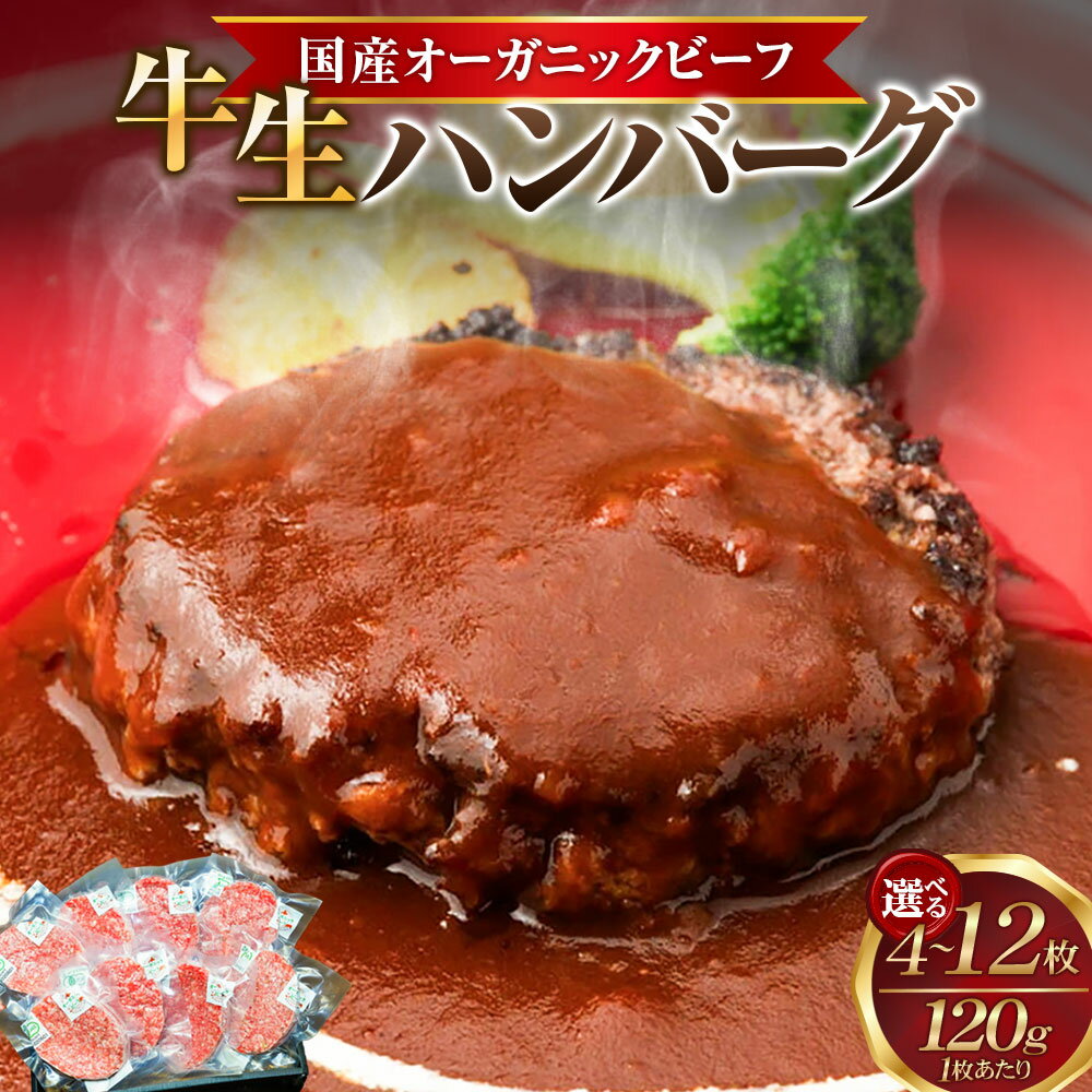 【ふるさと納税】容量×お届け月が選べる 釧路生まれ、釧路育ちのオーガニックビーフ 生ハンバーグ 120g × 4枚 / 8枚 / 12枚 稀少 アンガス牛 熟成 お肉 牛肉 肉 ハンバーグ オーガニック ビーフ 有機玉ねぎ 弁当 おかず 釧路産 国産 冷凍 パック 北海道 釧路市 送料無料
