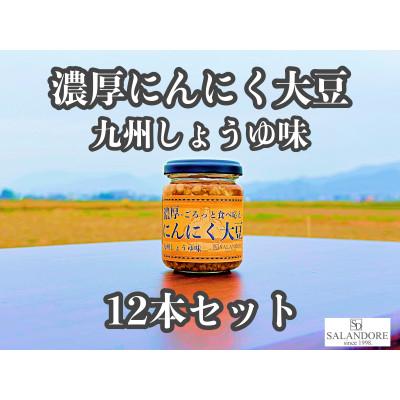 ふるさと納税 朝倉市 濃厚にんにく大豆_九州しょうゆ味_12本セット
