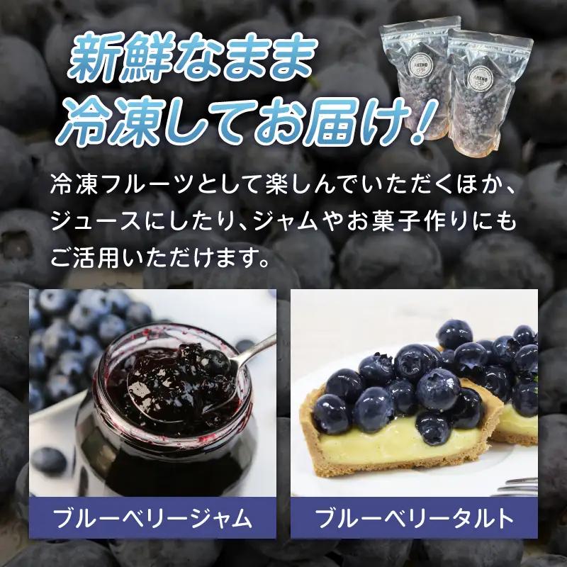 冷凍 ブルーベリー 大粒 ベリー 1,000g [h290]