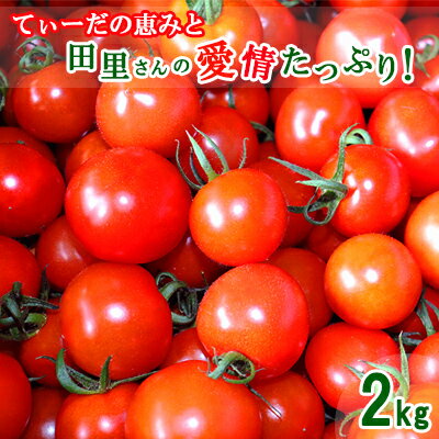 【ふるさと納税】【2025年12月以降順次発送】てぃーだの恵みと田里さんの愛情たっぷり！ミニトマト 赤2kg ミニトマト トマト 野菜 甘い 濃厚 フルーツ デザート フレッシュ サラダ スープ ピザ パスタ ソース トマト料理 リコピン ビタミンC ビタミンA β－カロテン