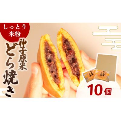 ふるさと納税 羽咋市 【復興支援】米粉どら焼き 個包装 10個