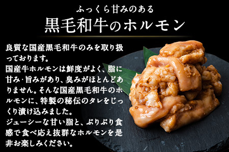 黒毛和牛漬け込みホルモン・ハンバーグセット 計7袋 有限会社トップルーフ 黒毛和牛