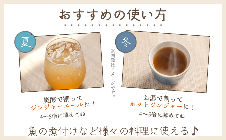 ジンジャーシロップ 150ml×3本 yr-0060