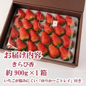 【1～4月発送】きらぴ香 大粒 900g  森木農園 牧之原市 静岡県