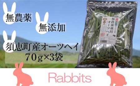 ペットフード うさぎ用 特選オーツヘイ 計210g | ペットフード