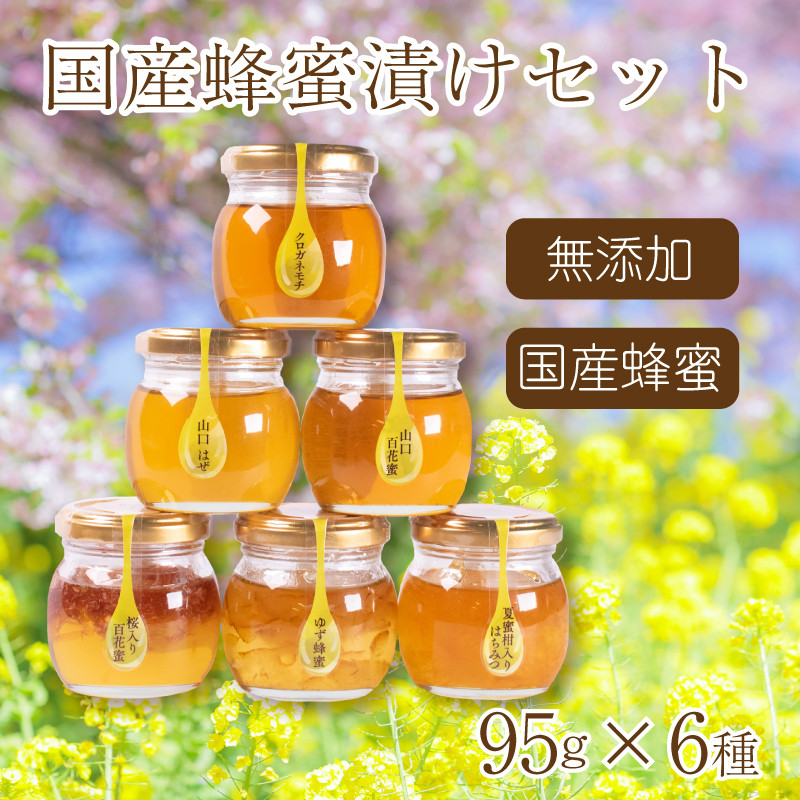 
はちみつ 国産 蜂蜜漬け セット 570g( 95g×6種 ) 山口県産 下関
