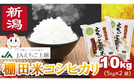 【4月下旬配送】令和7年産  えちご上越米 棚田米 コシヒカリ 10kg 10キロ 上越市 精米 米 コメ おすすめ