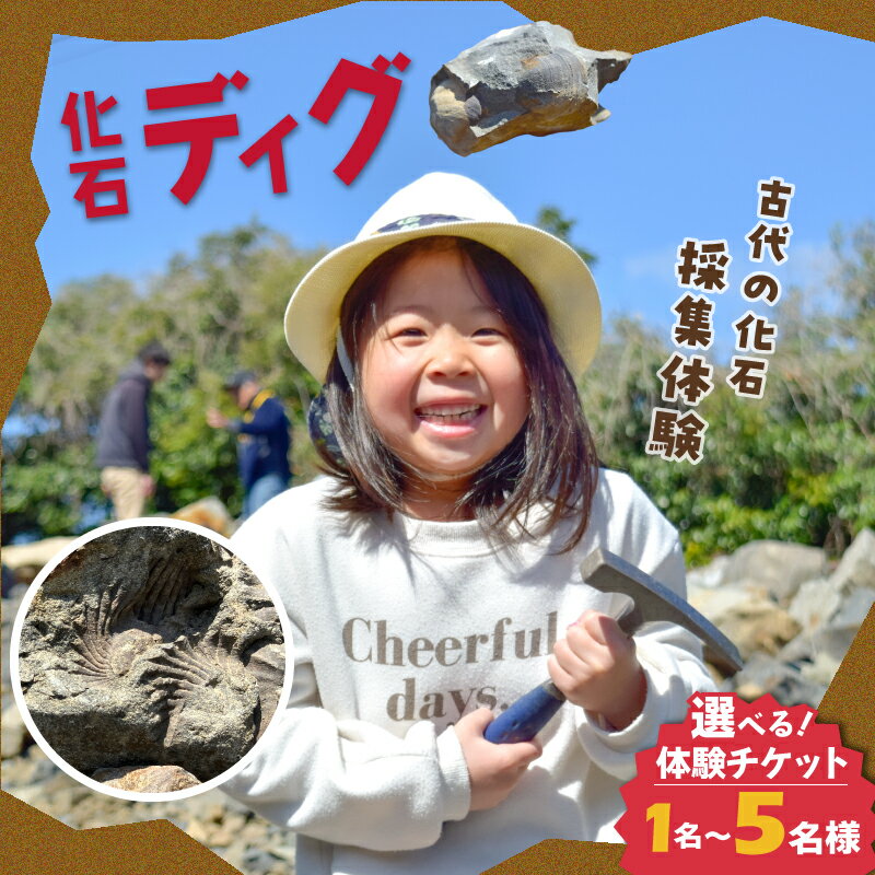 【ふるさと納税】化石ディグ 利用券 選べる 枚数 1枚 ～ 5枚 御所浦町 恐竜 恐竜の島 プテロトリゴニア ゴショライア 貝 アンモナイト 化石 発掘 体験 チケット 夏休み 自由研究 自然史 中生代 白亜紀 熊本県 天草市 送料無料