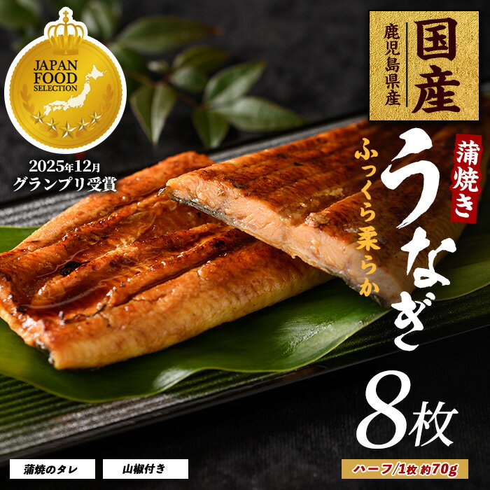 【ふるさと納税】うなぎ蒲焼じっくり焼きハーフカット約70g×8枚 化粧箱入り 鰻 ウナギ 蒲焼 国産 丑の日 うな重 無頭 ギフト プレゼント 贈り物 贈答 惣菜 総菜 小分け レンジ【大新】