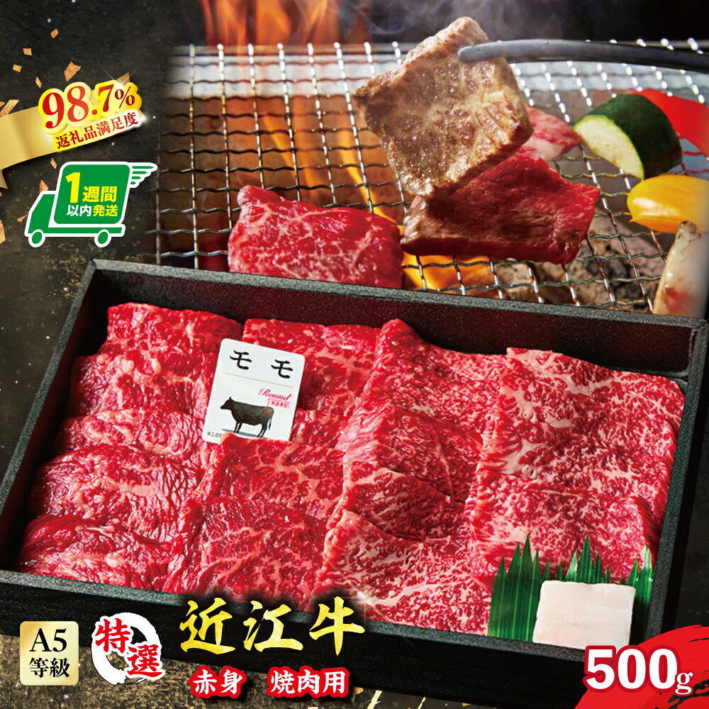 【ふるさと納税】【一週間以内発送】A5等級未経産雌牛 特撰近江牛 赤身 焼肉 500g 折箱入り 近江牛 国産 牛肉 近江フードJAPAN 冷凍