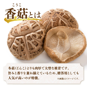 F07016　大分県産椎茸　香菇　逸品　IP-A