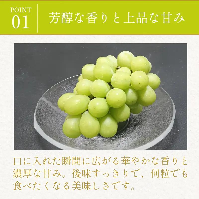 C-289 大粒シャインマスカット　2kg