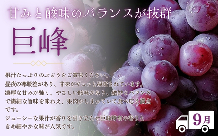 【2・7・9月 全3回】紀州和歌山産旬のフルーツセット（いちご・桃・巨峰）【UT96】