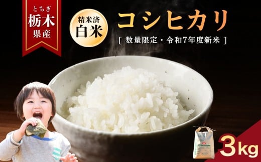 こしひかり  3kg | お米 米 もち米 ミルキークイーン きぬはなもち とちぎの星 コシヒカリ こしひかり 美味しい お弁当 選べる 定期便 ふるさと 納税 栃木県 矢板市