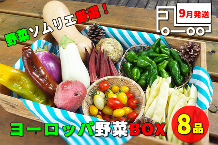 【 2026年 9月より順次発送】 野菜ソムリエ “産直松の実の松原店長” 厳選 ！ ヨーロッパ 野菜 BOX 8品 ／ 人気 産直 採れたて 新鮮野菜 季節野菜 夏野菜 国産 産地直送 期間限定 数量限定 仕送り 詰合わせ 詰め合わせ 詰め合せ 詰合せ セット おすすめ 予約 予約受付 早期予約