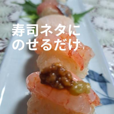 ふるさと納税 白山市 白山麓のしょうゆ糀 530gパック×5個 ★たくさん使いたい人向けの大きいサイズ |  | 01
