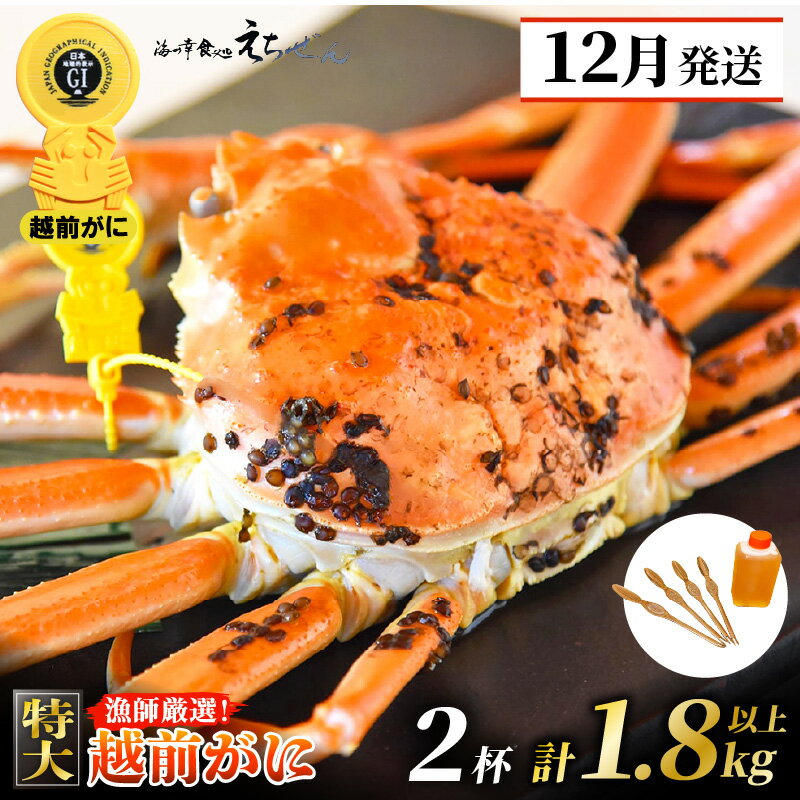 【ふるさと納税】≪浜茹で≫ 越前がに 特大 × 2杯（生で計1.8kg以上）かに酢 かにスプーン4本 食べ方QRコード付き【雄 ズワイガニ ずわいがに 姿 ボイル 冷蔵 福井県】【12月発送分】希望日指定可 備考欄に希望日をご記入ください [e38-x002_12]