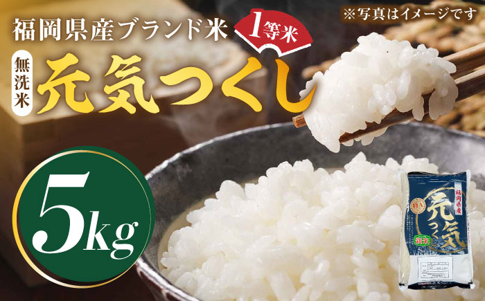 
【令和5年産】福岡県産ブランド米「元気つくし」無洗米 5kg《築上町》【株式会社ゼロプラス】 [ABDD002] 11000円
