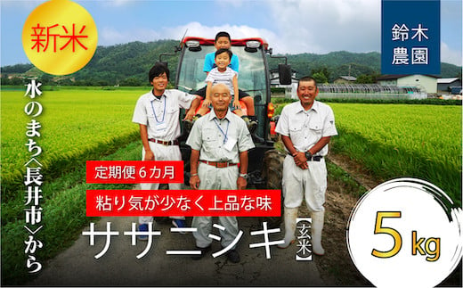 【定期便6ヶ月】【令和6年産新米】【玄米】鈴木・ファーム「ササニシキ」5kg×1袋×6ヶ月_A154(R6)